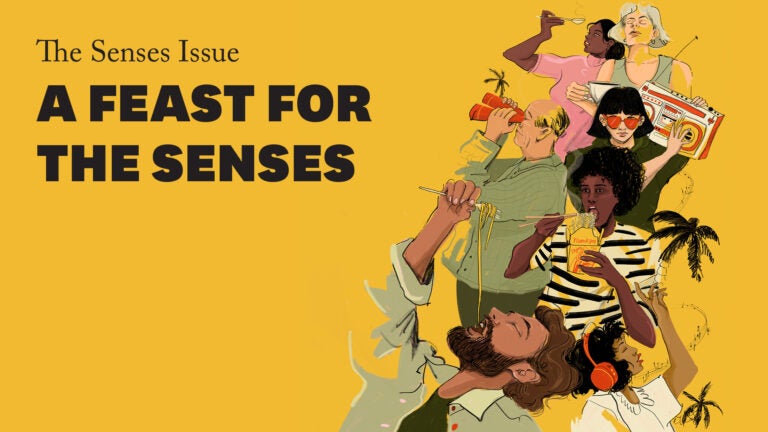 《感官的南加利福尼亚文理》杂志的封面。