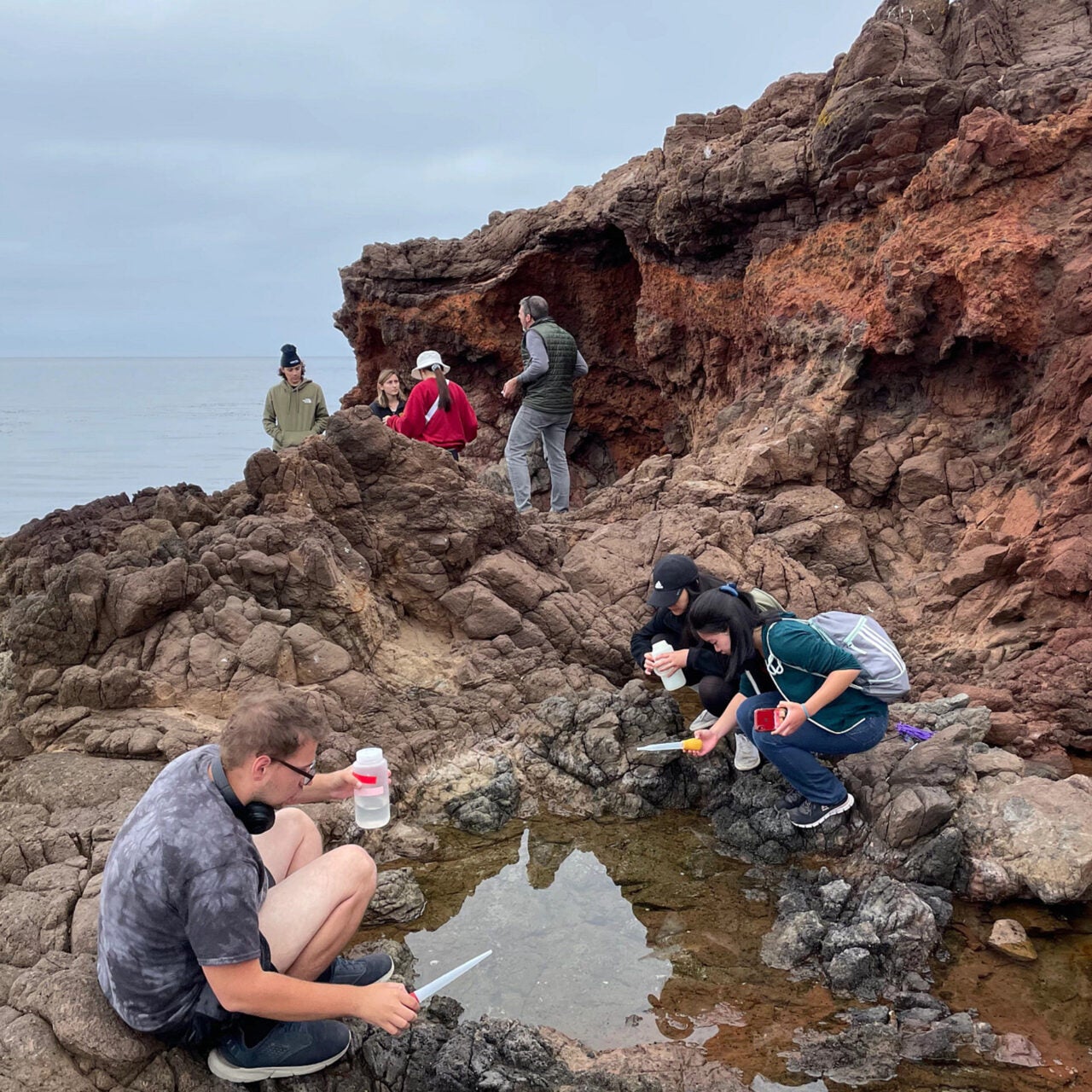 summer undergraduate research fund (surf) usc