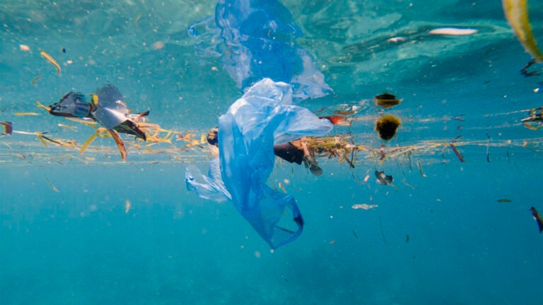 plastic pollution bags floating on marine or ocean environment