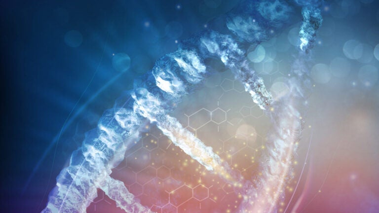 Computer rendering of DNA double helix