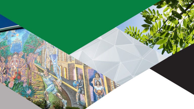 Composite image of a mural, trees, and the colors green, white and black.