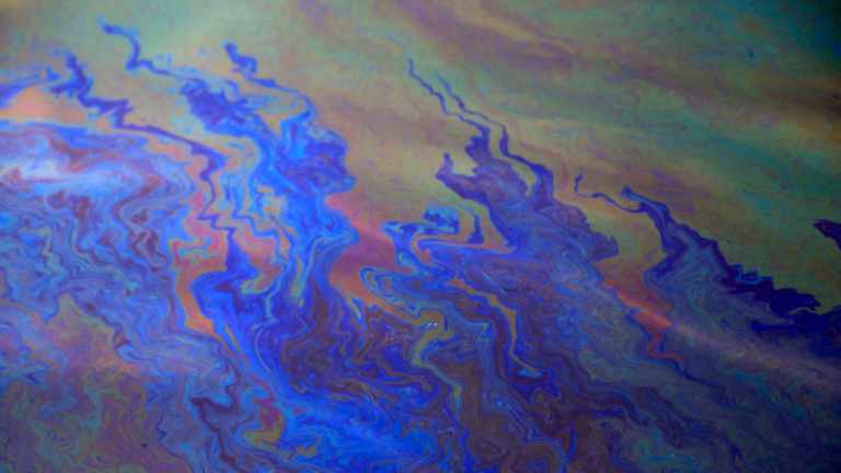 Oil slick floating on top of water.