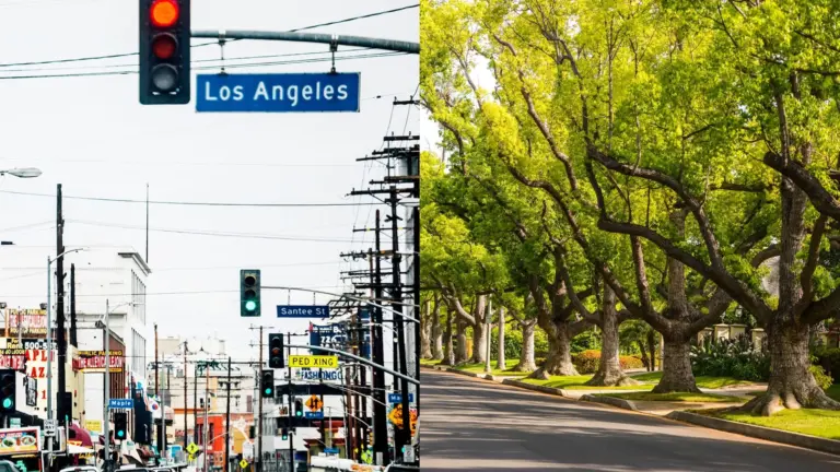 Composite image of a city street and a street lined with trees.