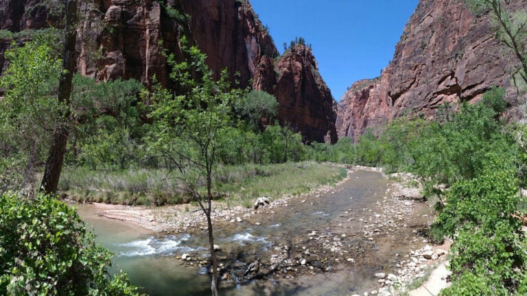 A photo of a river passing through red rock at Mt Zion National Park