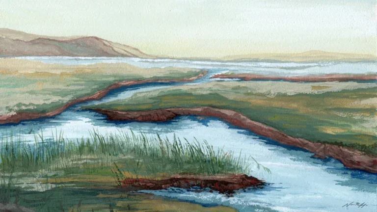 Water color painting of coastal wetlands