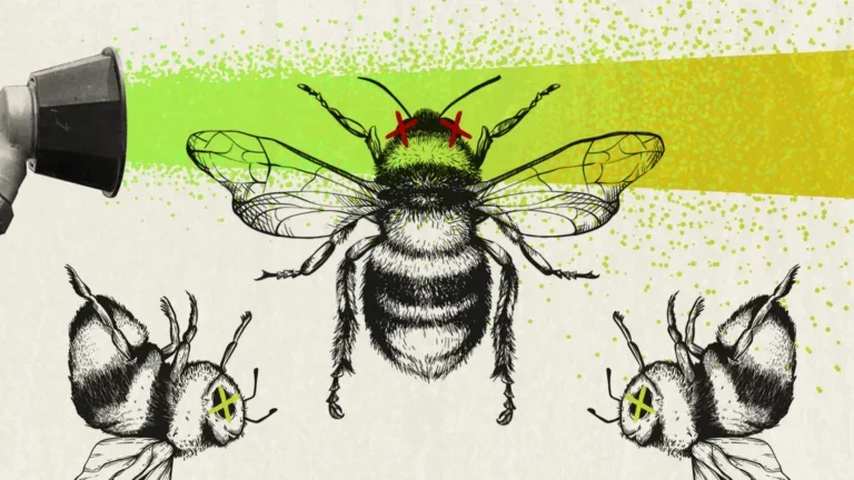 An illustration of honey bees with exes over their eyes