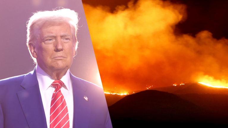 Composite image of Donald Trump and wildfire.