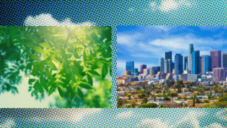 Composite image of trees and the Los Angeles cityscape.