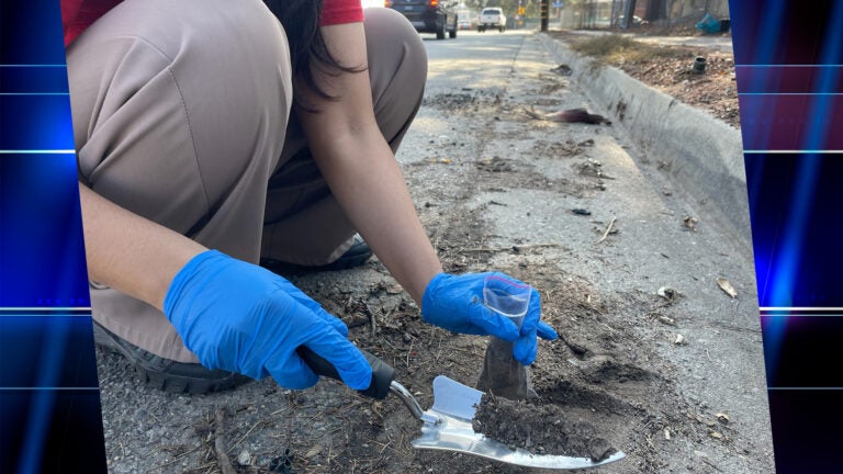 A volunteer collects a soil sample from a burn area for lead testing by USC Dornsife Public Exchange’s CLEAN project.