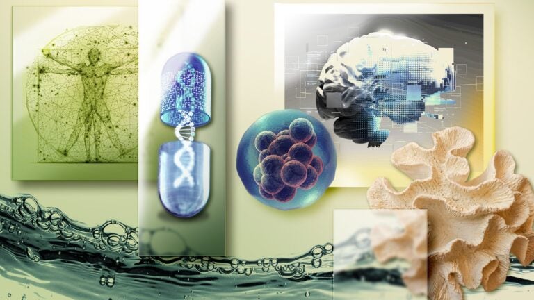 Life science themed visual images including DNA, coral, water and more.