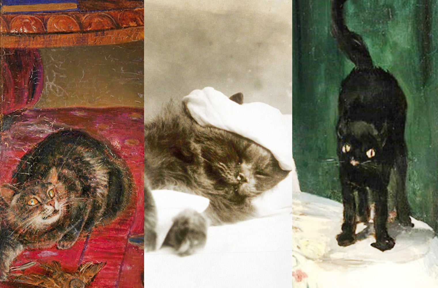 1520px x 1000px - How cats have inspired artists from da Vinci to Warhol - USC Dornsife News