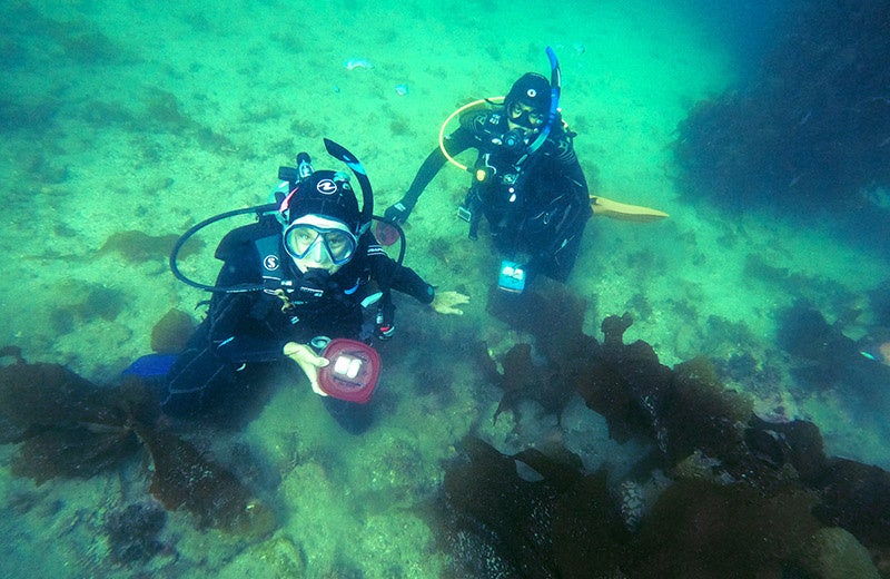Summer at an island lab has undergraduates tackling questions about our