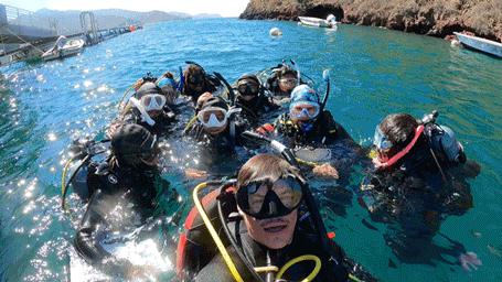 Animated gif of a group of divers in full scuba gear bobbing in the water.