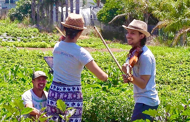 Violinists Etienne Gara and YeEun Kim perform for a field worker who kneels in front of them among a crop.