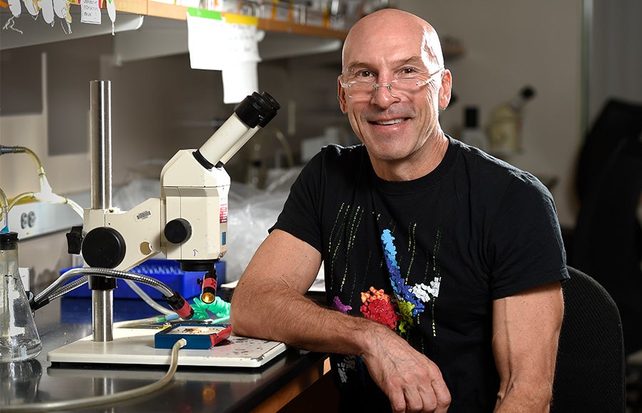 Photo of John Tower smiling, wearing glasses and wearing a black T-shirt with the image of a biological molecule on it while sitting in front of a microscope in his laboratory.