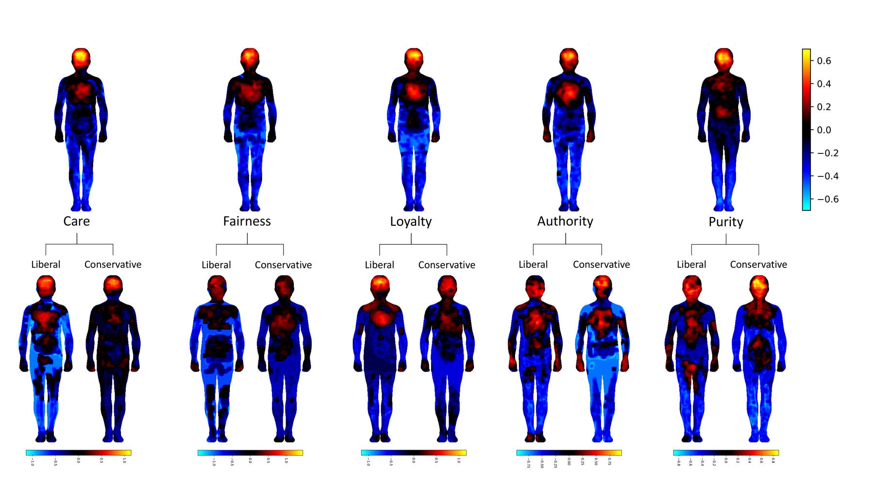 Images showing what body areas react to emotion