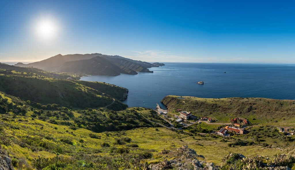 A hilltop view of the Wrigley Institute on Catalina Island