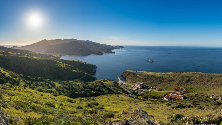 A hilltop view of the Wrigley Institute on Catalina Island