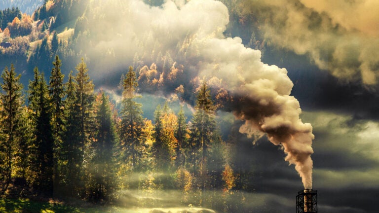 smoke pours from a smokestack against a backdrop of smoggy air and mountains covered in tall pine trees