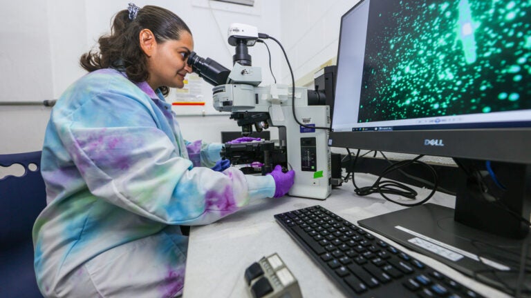 a researcher wearing a tie-dyed lab coat looks through a microscope that is projecting an image of bright-green microbes onto a nearby monitor
