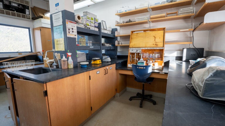 a small, cubicle-style lab with a bench, supplies, and equipment