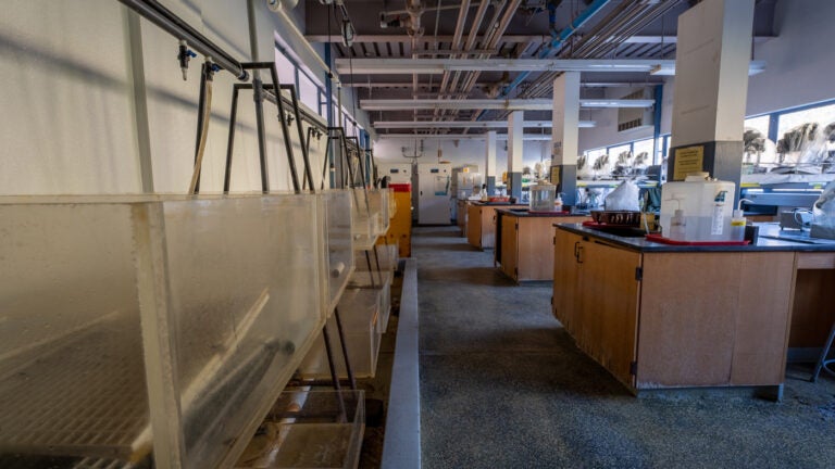 a large scientific lab with tanks, benches, and equipment