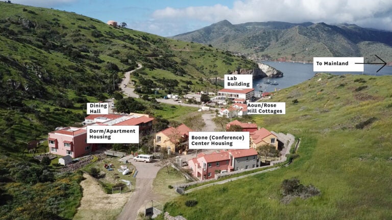 a map of the upper part of the WMSC campus with housing and dining buildings labeled