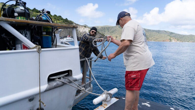 A person on a dock hands the rope to someone on a boat that is tied to the dock