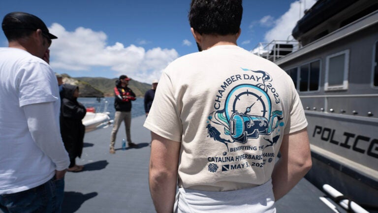 The back of someone's shirt reads 