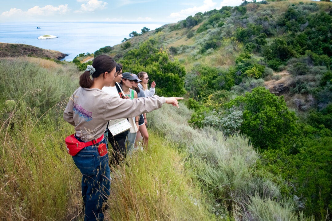 a guide points across a grassy ravine while leading a group of students on a hike through a hilly area with ocean in the background