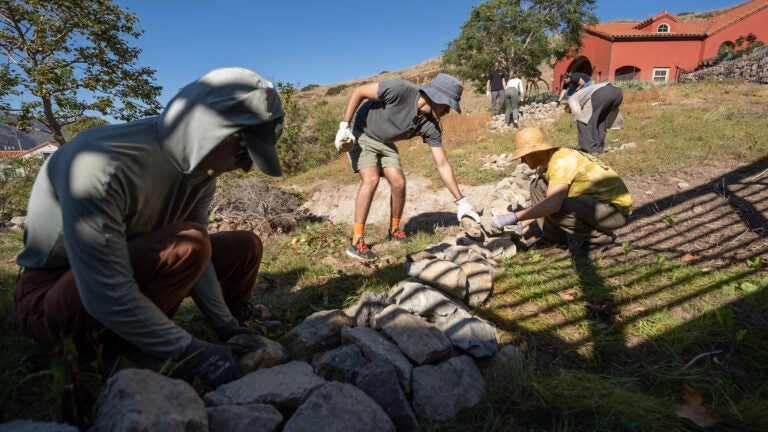 A group of people construct rock dams