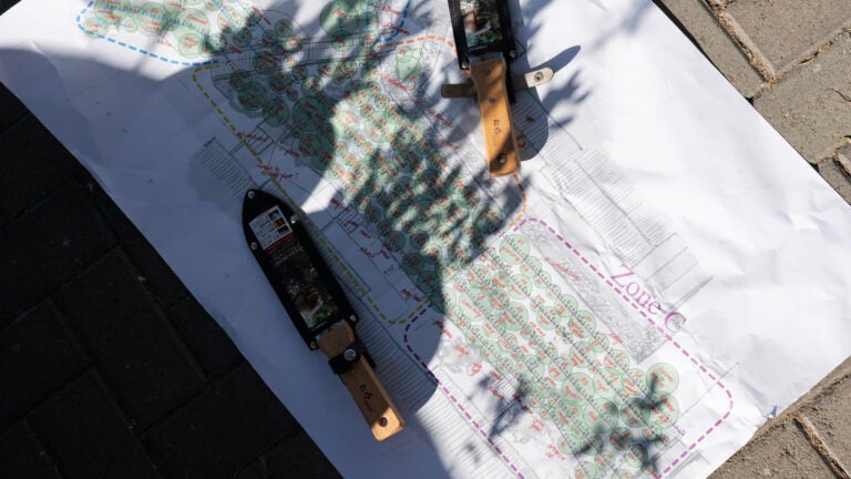 A detailed paper layout of the Test plot is displayed