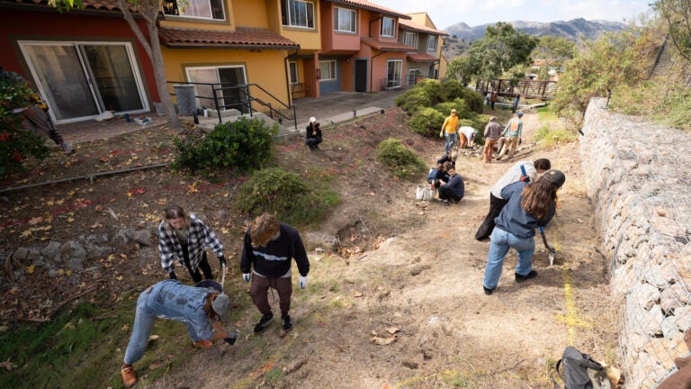 A group of people work together to revitalize the green ravine, using shovels and crouching down