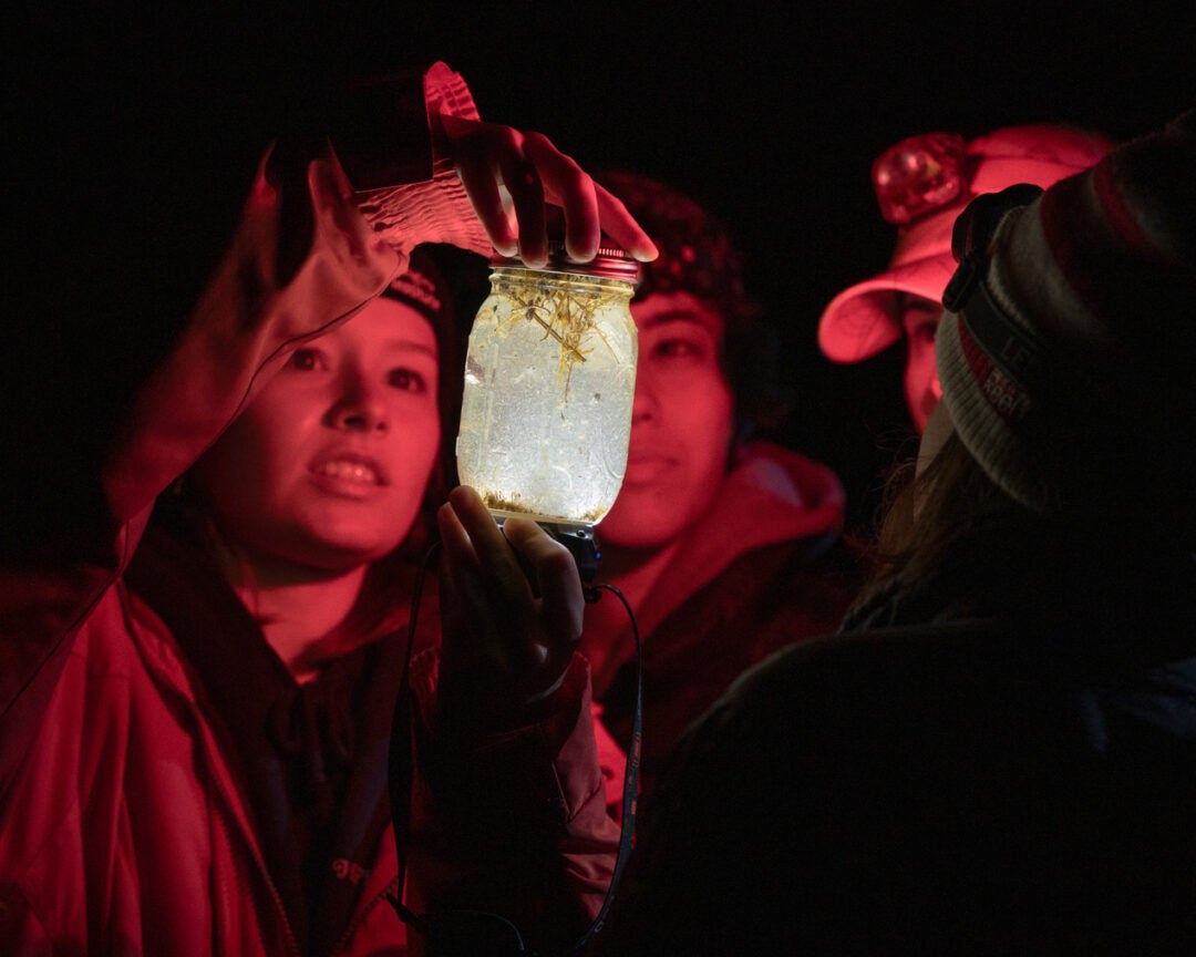 A group of students hold a light underneath a jar of ocean water they've collected. The ocean water has algae and plankton in it, and the students are illuminated red because it is nighttime.