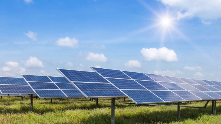 multiple rows of solar panels stretch off into the distance, with green grass underneath and blue sky overhead