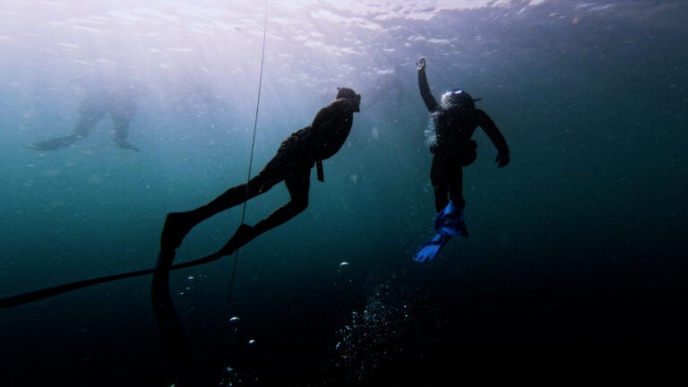 Two scuba divers swim towards the surface of the water