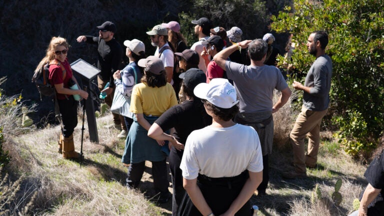 a group of people listens to a guide as they stand on the edge of a deep ravine