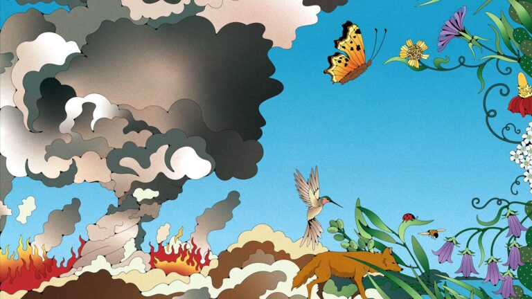 An illustration of various threatened species and ecosystems shows a fox, hummingbird, ladybug, beetle, and butterfly moving away from a wildfire and billowing smoke toward flowers, greenery, and the ocean under a clear blue sky