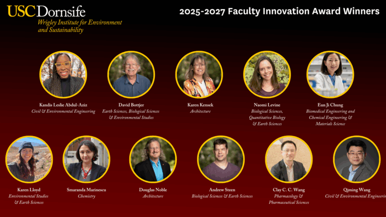 headshots of eleven USC faculty members, representing grantees across disciplines and schools