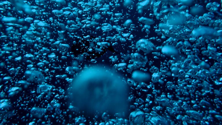 methane bubbles up from underwater (Photo by Jeremy Lanfranchi on Unsplash)