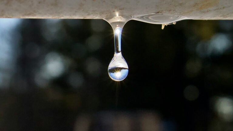 the sun shines through a a water droplet (Photo by Abigail on Unsplash)