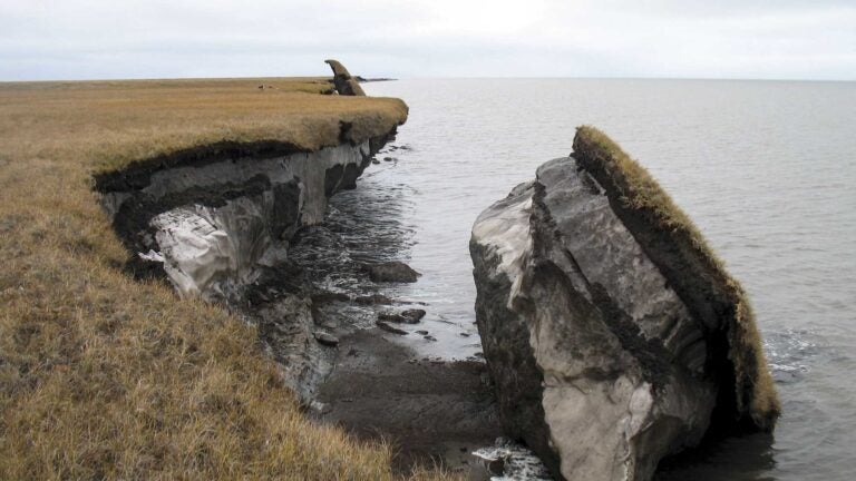 a large chunk of eroded rock stands in the ocean, separated from the rocky coastline where it was originally connected (photo by U.S. Geological Survey)