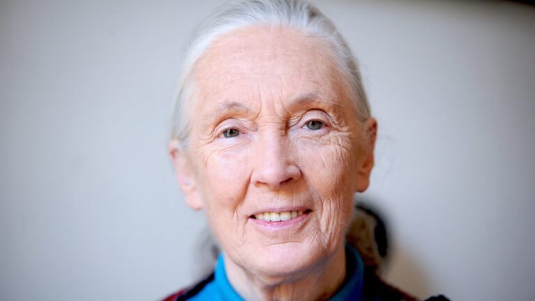 Jane Goodall