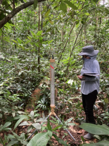 researcher in a jungle
