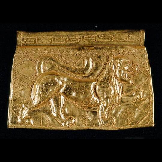 Gold piece with lion, illustration