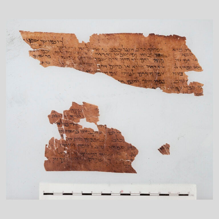 The Dead Sea Scrolls : Medieval Text Manuscripts