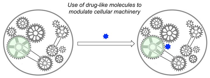 A figure representing a drug-like molecule modulate cellular activity.