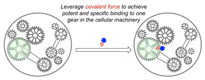 Figure representing leverafe covalent force to acheive potent and specific binding to one gear in the cellular machinery